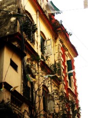 India 34