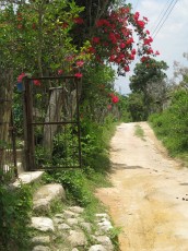 Honduras18