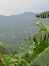 Honduras1