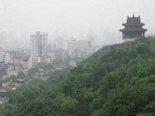 China15