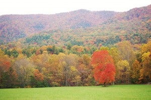 Fall 5