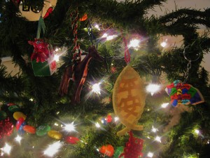 IMG_8016